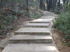 -黄埔油麻山森林公园