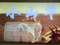 -柳叶刀烧烤(北大清华店)
