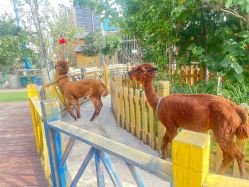 -三分地生态园·儿童乐园