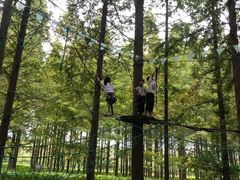 -黄海国家森林公园