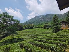 -姑婆山旅游区