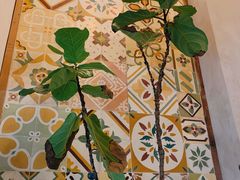 -时光花园(白鹭洲店)