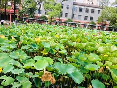 -成都七中(林荫校区)