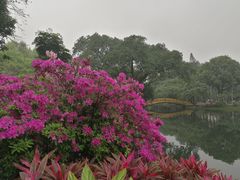 -晓港公园