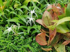 -昆山城市生态森林公园