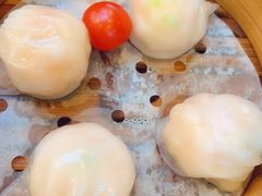 金牌虾饺皇-点都德(北京路贰店)