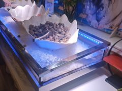 -合肥丰大国际大酒店