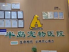 -半岛宠物医院24小时·内窥镜·牙科·碎石中心(府城大道店)