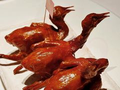 -侨美食家·41年地道粤菜(珠江新城店)