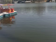 -二一九公园