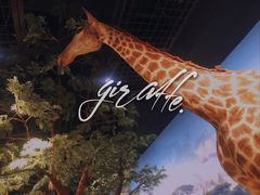 -陕西自然博物馆