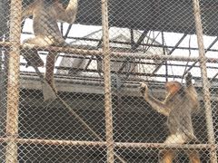-哈尔滨北方森林动物园
