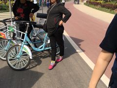 -武清南湖绿博园