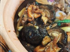 -广宁炭炉鸡煲·富临门饭店