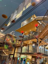 -卡通尼·Safari非洲探索乐园·生日会(金桥国际商业广场店)