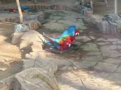 -大连森林动物园