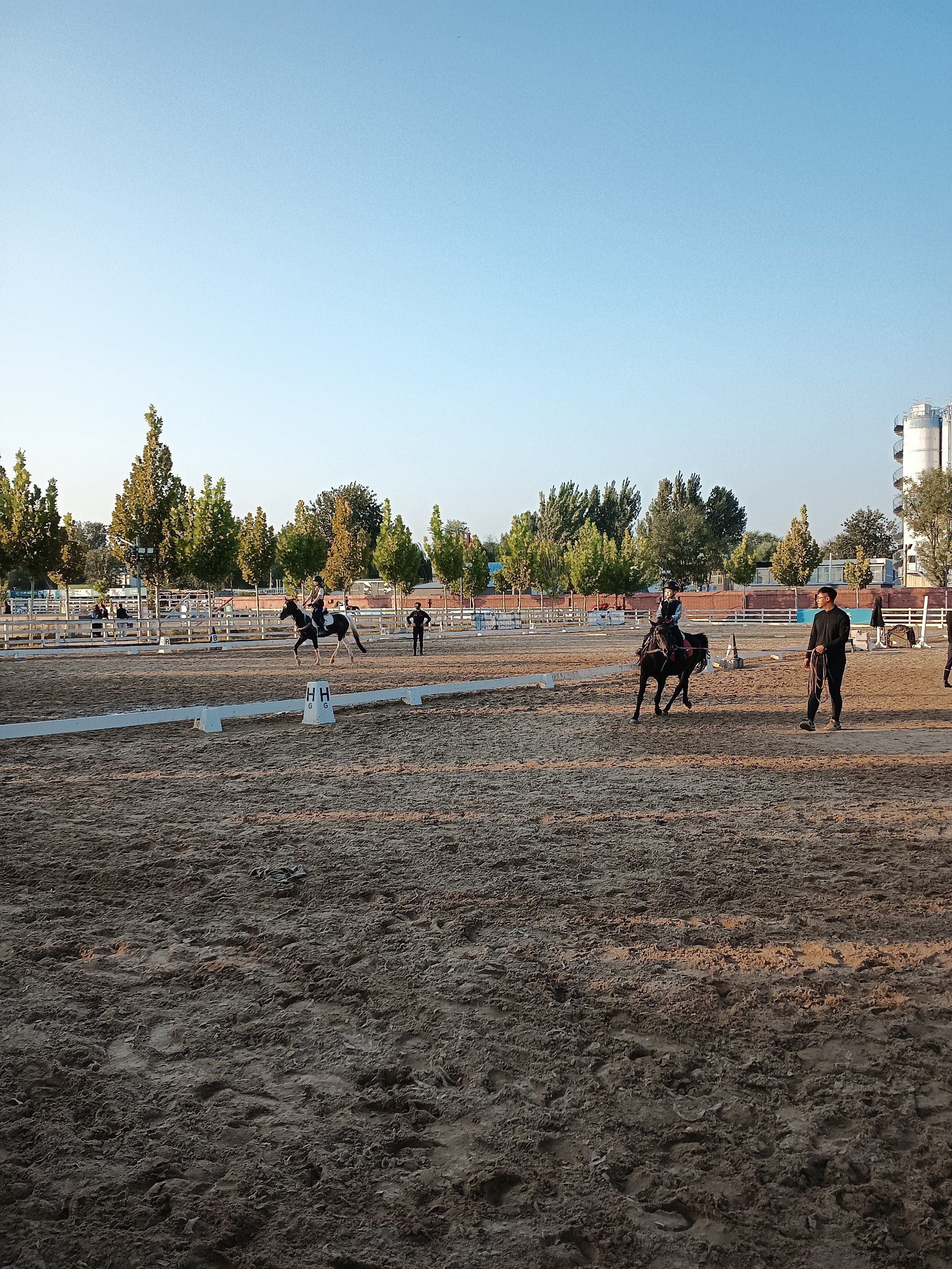 豪威马术俱乐部怎么样(豪威马术俱乐部怎么样收费)