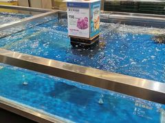 -盒马X会员店(王府井奥莱UP TOWN店)