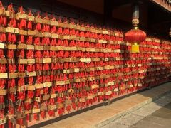 -峨眉山报国寺