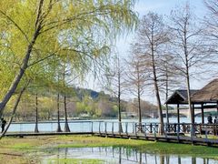 -长广溪湿地公园