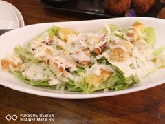 -百好乐宠物友好餐厅(朝外大街店)