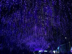 -乡当俏老火锅