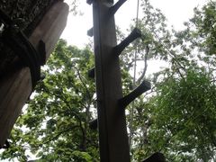 -清迈丛林飞跃 JungleFlight