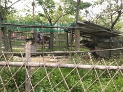 -广东花都香草世界旅游度假区