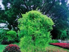 -晓港公园