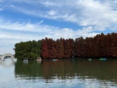 景点-上海海湾国家森林公园