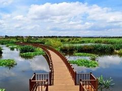 -五甲塘生态湿地公园