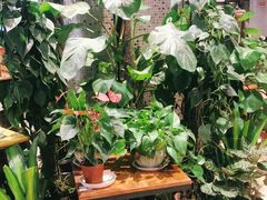 -舌尖上的食缘花园主题餐厅