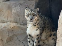 -青藏高原野生动物园