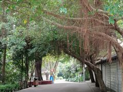 -北海市海滨公园