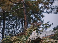 -颐和园