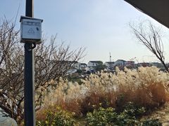 -塘径小院农家食府