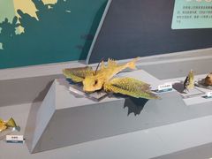 -浙江自然博物院(杭州馆)