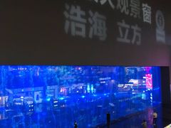 -成都浩海立方海洋公园