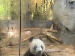 -海南热带野生动植物园