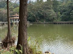 -深圳仙湖植物园