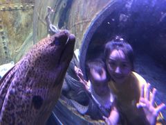 -成都浩海立方海洋公园