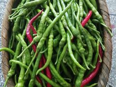 自种原材料-小玲农家柴火饭店