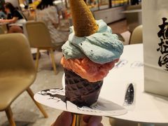 -极拉图·现制冰淇淋(大卫城店)
