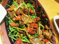 -蒙料·手把肉(望京店)