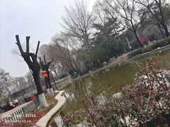 -西安市长乐公园