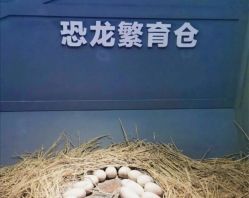 -恐龙探索乐园(磁器口店)