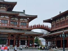 -西安青龙寺遗址景区