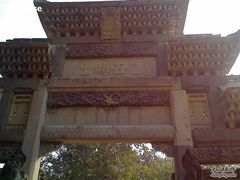 -中山大学学者灵芝(园南路店)