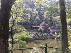 -南山植物园