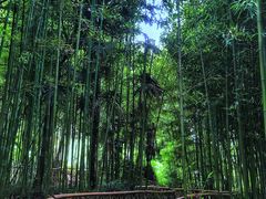 -绍兴东湖风景区